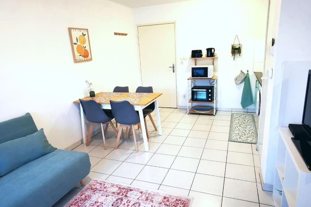 Grand Studio Lumineux Et Sa Terrasse Au Calme Toulouse Bagian luar foto