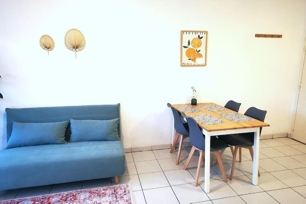 Grand Studio Lumineux Et Sa Terrasse Au Calme Toulouse Bagian luar foto