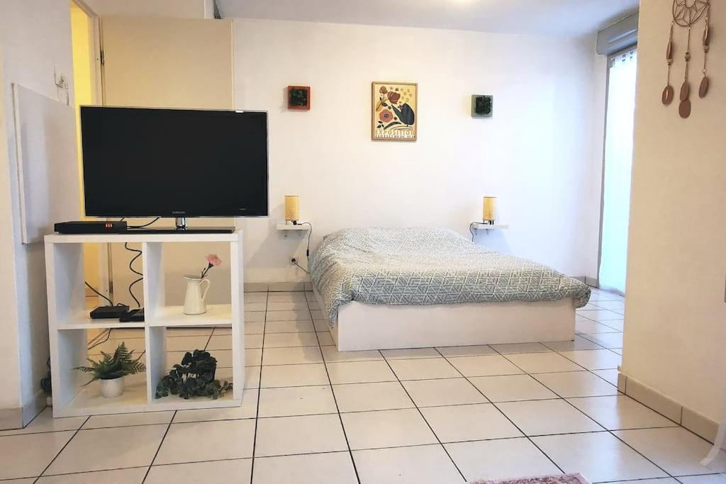 Grand Studio Lumineux Et Sa Terrasse Au Calme Toulouse Bagian luar foto