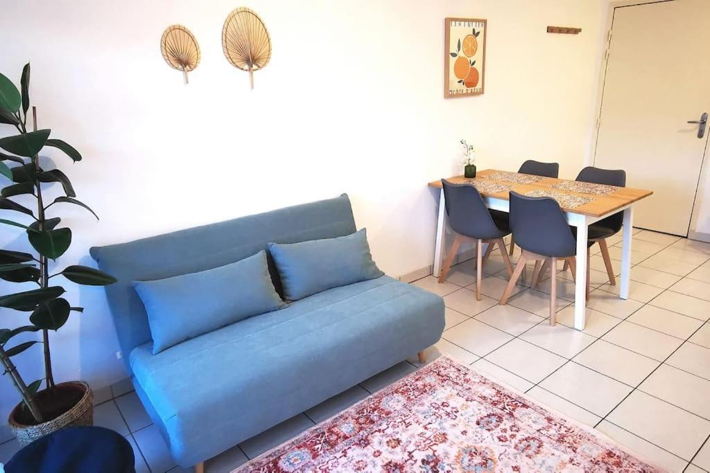 Grand Studio Lumineux Et Sa Terrasse Au Calme Toulouse Bagian luar foto