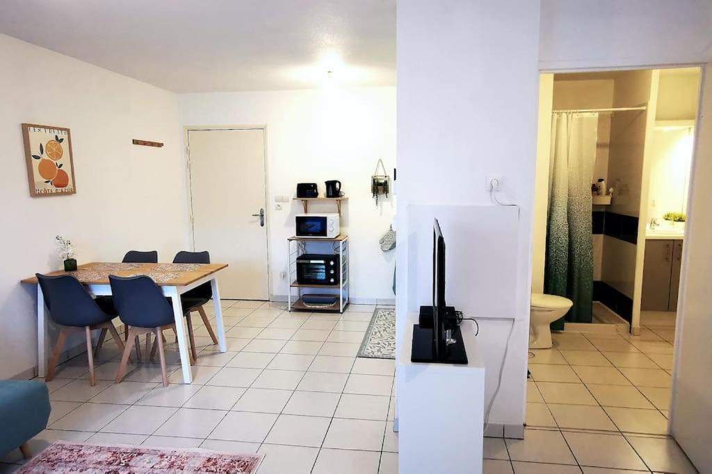 Grand Studio Lumineux Et Sa Terrasse Au Calme Toulouse Bagian luar foto